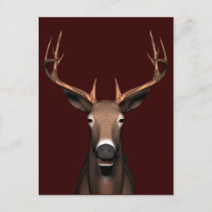 Buck Head Postkarte