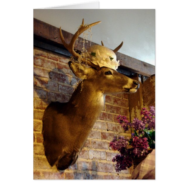 Buck in einem Hut (Vorne)