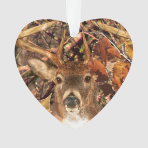 Buck la saison d'automne White Tail Deer