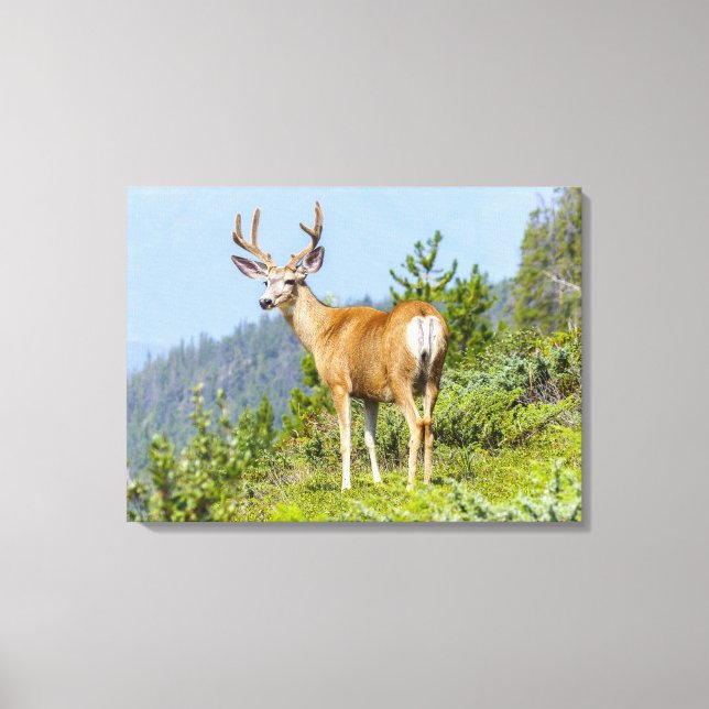 Buck Leinwanddruck (Vorderseite)