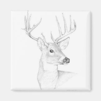 Buck Magnet