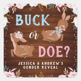 Buck oder Doe? Baby Shower Reveal Quadratischer Aufkleber