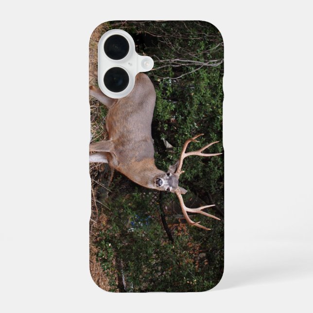 Buck Phone Case iPhone 16 Hülle (Rückseite)