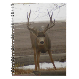 Buck Spiral Notebook Notizblock