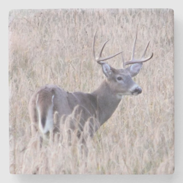 Buck Stops Hier Stone Untersetzer (Vorderseite)