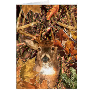 Buckel in Camouflage Weißer Schwanz Hirsch
