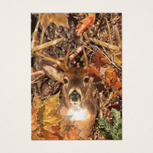 Buckel in Camouflage Weißer Schwanz Hirsch