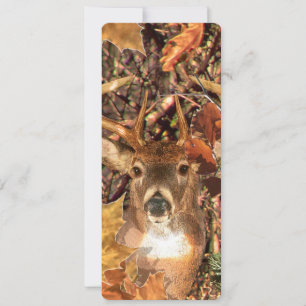 Buckel in Camouflage Weißer Schwanz Hirsch