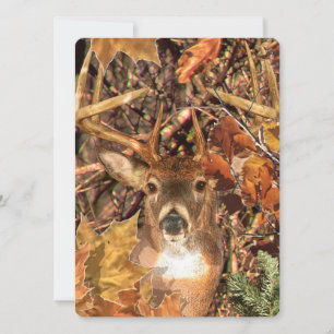 Buckel in Camouflage Weißer Schwanz Hirsch