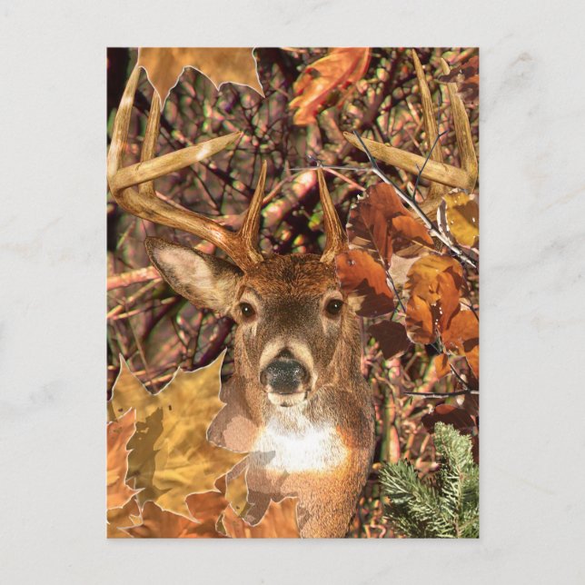 Buckel in Camouflage Weißer Schwanz Hirsch Postkarte (Vorderseite)