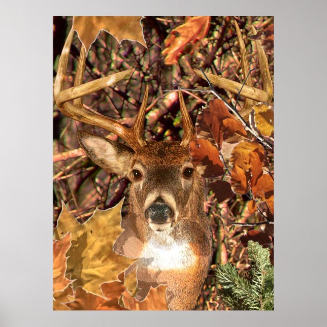 Buckel in Herbst Camouflage Weißer Schwanz Hirsch Poster (Vorne)