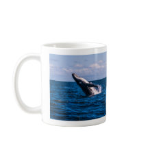 Buckel-Wal-Bruch-Kaffee-Tasse