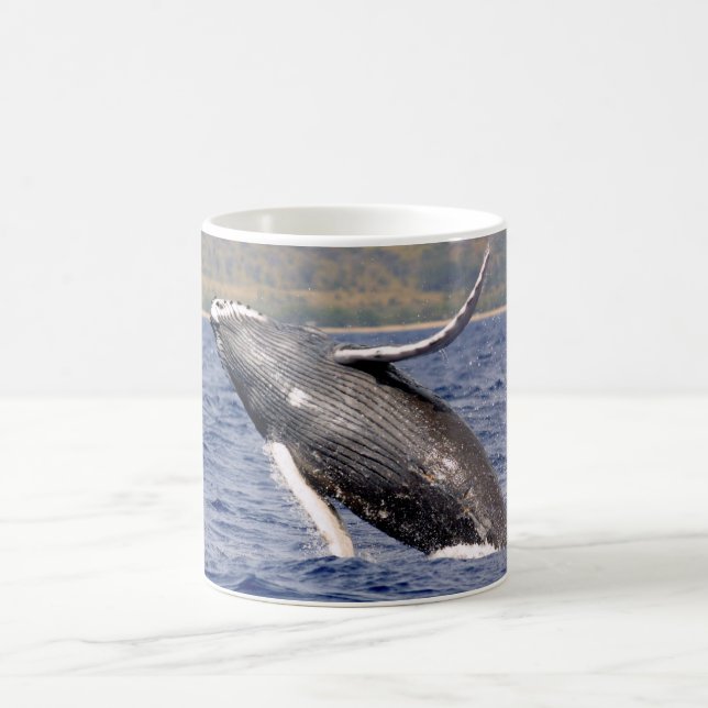 Buckel-Wal-Spritzen Kaffeetasse (Mittel)