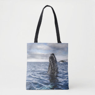 Buckel-Wal Spyhops Hoffnungs-Bucht, die Tasche