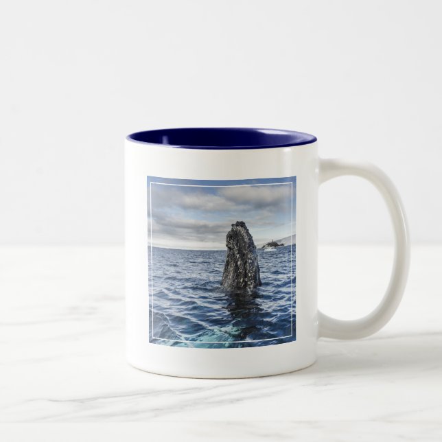 Buckel-Wal Spyhops | Hoffnungs-Bucht, die Zweifarbige Tasse (Rechts)