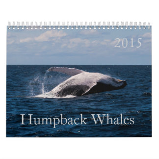 Buckel-Wal-Surfer-Paradies-Pazifischer Ozean Kalender