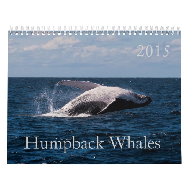 Buckel-Wal-Surfer-Paradies-Pazifischer Ozean Kalender (Titelbild)