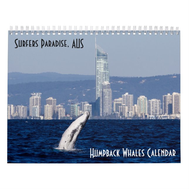 Buckel-Wal-Surfer-Paradies-Pazifischer Ozean Kalender (Titelbild)