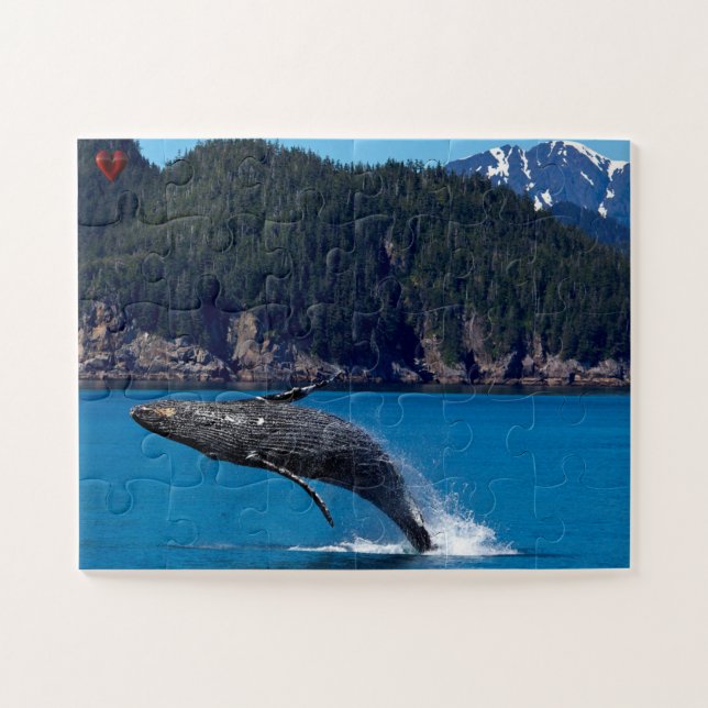 Buckelwal Alaska (Horizontal)