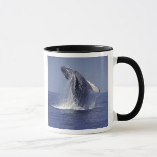 Buckelwal bricht durch (Megaptera Tasse