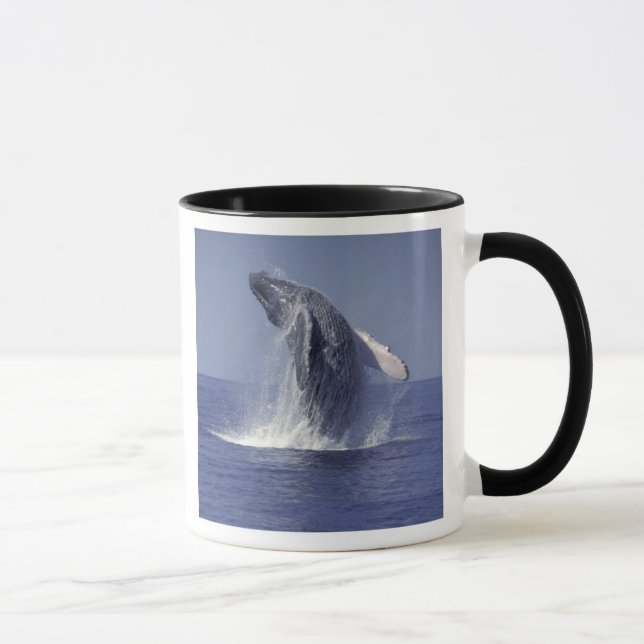 Buckelwal (Megaptera) Tasse (Rechts)