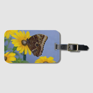 Buckeye-Schmetterling auf gelber Aster Gepäckanhänger