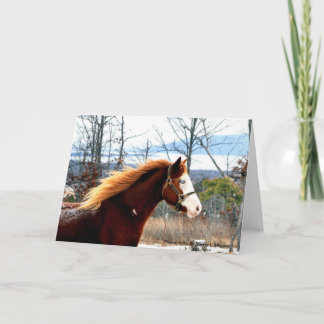 Buckie auf Rogers-Berg Karte