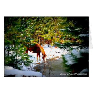 ~Buckie sur le passe-temps Farm~ de Rogers