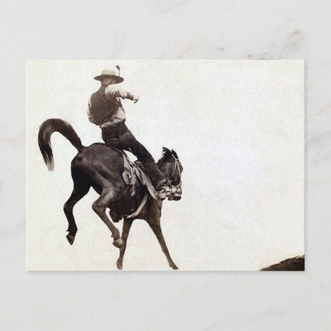 Bucking Bronco Postkarte (Vorderseite)