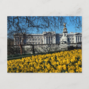 Buckingham Palace, London Postkarte