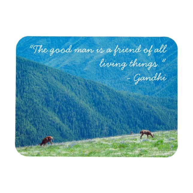 Bucks an den Bergen Magnet (Horizontal)