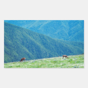 Bucks an den Bergen Rechteckiger Aufkleber