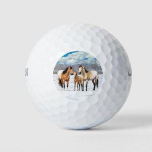 Buckskin Appaloosa Pferde im Schnee Golfball