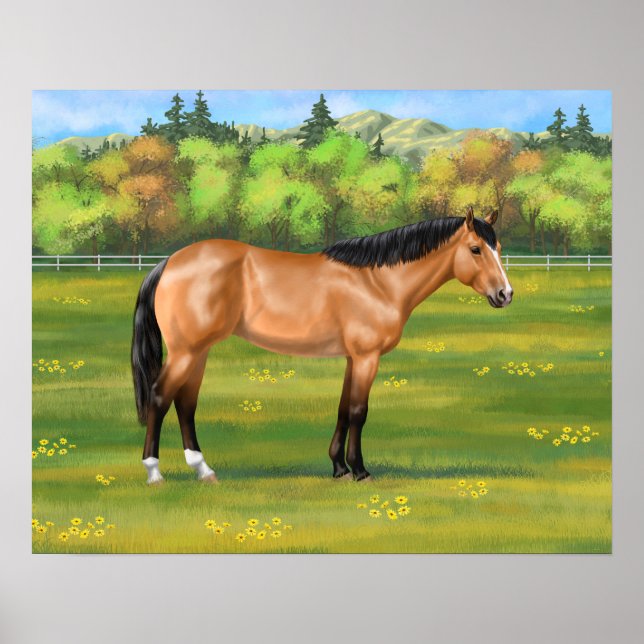 Buckskin Dun Quarter Horse Poster (Vorne)