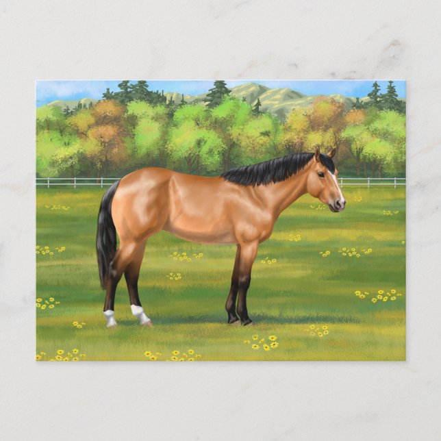 Buckskin Dun Quarter Horse Postkarte (Vorderseite)
