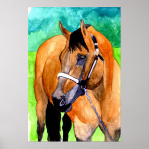 Buckskin Halter Horse Quarter Horse Portrait Poster