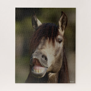 Buckskin Lusitano Stallion Flehmen Headshot