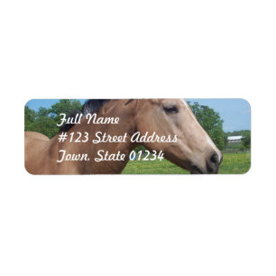 Buckskin Mustang Mailing Label