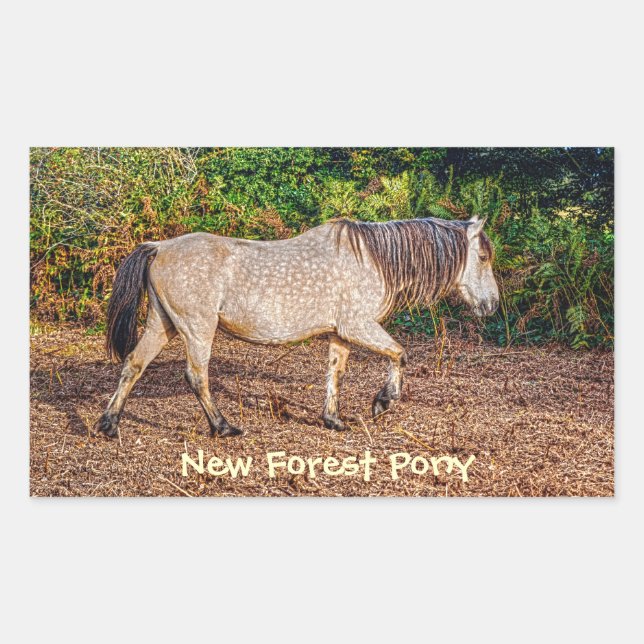 Buckskin New Forest Pony Wildlife Rechteckiger Aufkleber (Vorderseite)
