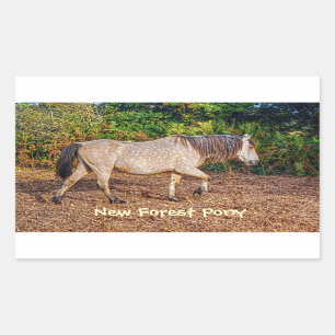 Buckskin New Forest Pony Wildlife Rechteckiger Aufkleber