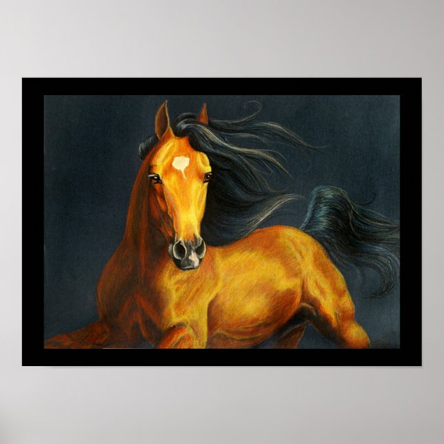 Buckskin Pferd Poster (Vorne)