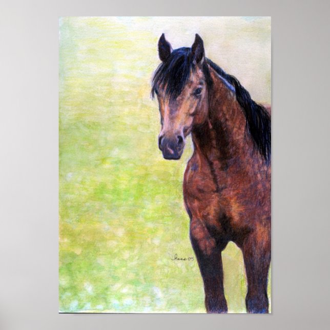 Buckskin Quarter Horse Halter Horse Portrait Poster (Vorne)