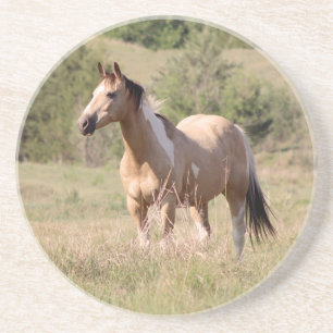 Buckskin-Tobiano-Pferd posiert auf einer Weide - F Getränkeuntersetzer