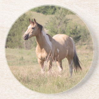 Buckskin-Tobiano-Pferd posiert auf einer Weide - F Getränkeuntersetzer