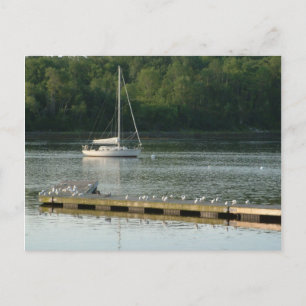 Bucksport Maine Postkarte