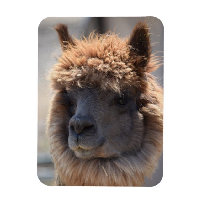 BUCKWHEAT MAGNET (Vertikal)