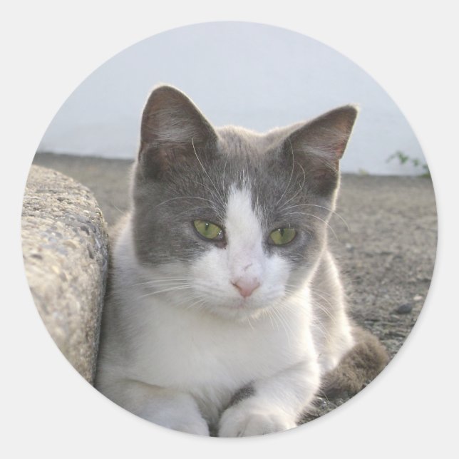 "Bud in color" Runder Aufkleber (Vorderseite)