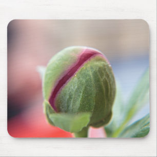 Bud of a Peony/Pfingstrosen Mousepad