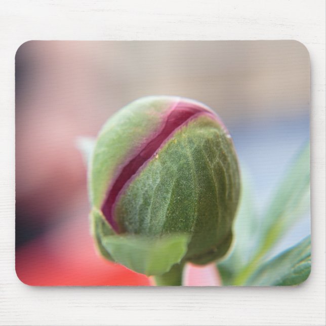 Bud of a Peony/Pfingstrosen Mousepad (Vorne)