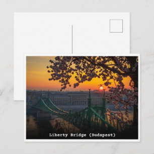 Budapest Ungarn Vintage Liberty Bridge Geschenke Postkarte